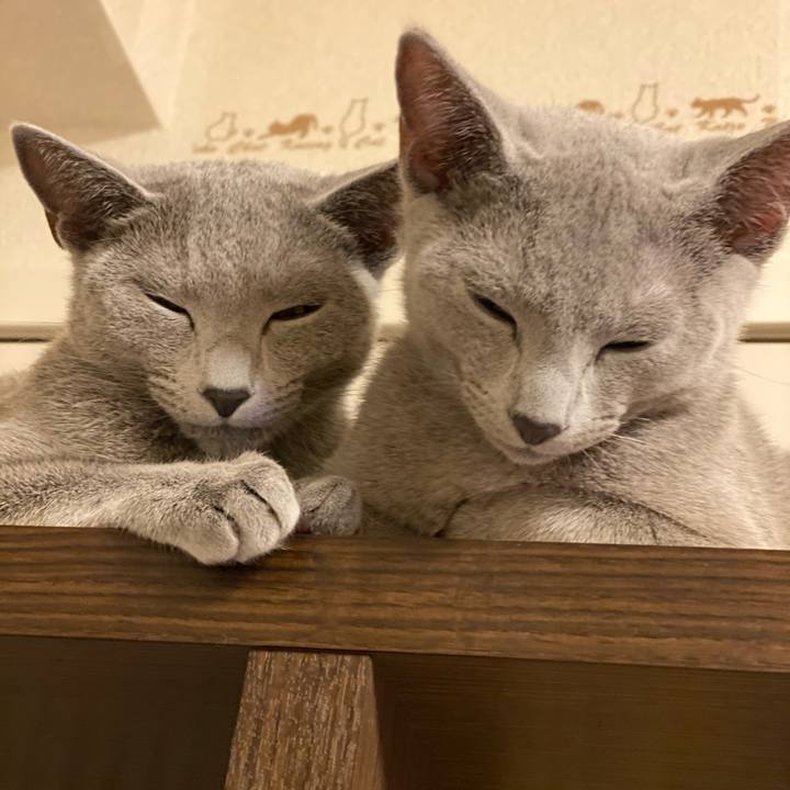 51e5e074 b13e 48a7 a163 299bcb0126c1 1606738120024