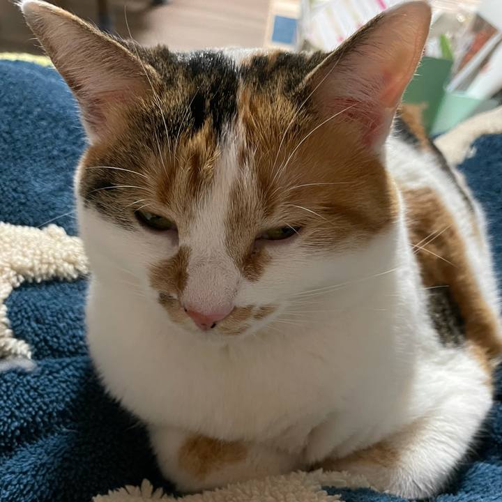 51e5e3a8 f717 4414 831c 0bde0be99be3 1612870816644