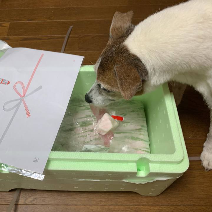 51e60ccb 62e1 4130 89c0 9fe89d08b945 1624185020577