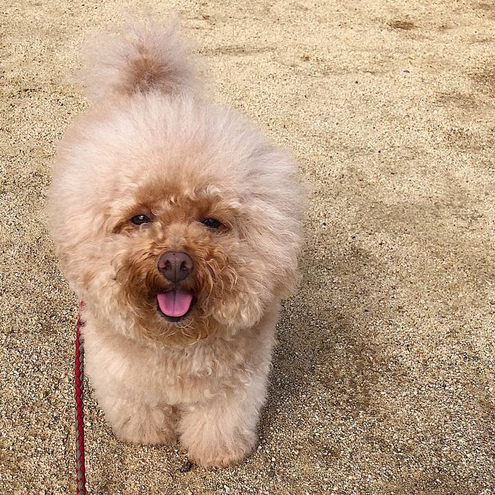 51e6124e 4383 4371 9ec7 68dc9008d25b 1538040020352