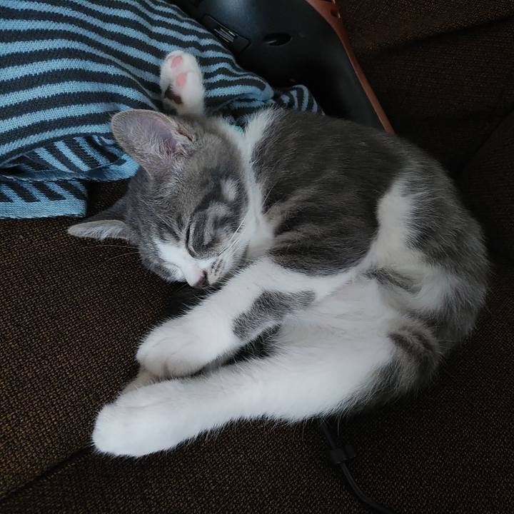 51e62491 3c65 4c0c 99db 330ce15b6f3a 1564126923176