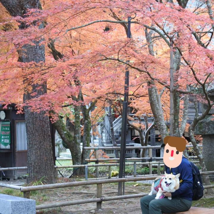 51e6252d 0e9d 4c33 b2d3 87749d3d0e10 1732448893300