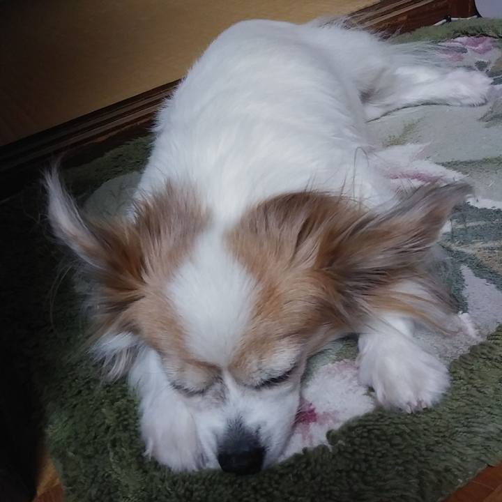 51e65d52 df8c 4820 8ef3 b79191905968 1541081377980