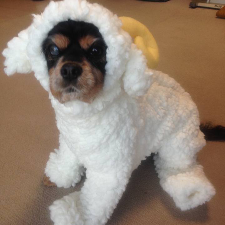 51e675b8 d77b 4447 b446 c7c302904740 1515592814839