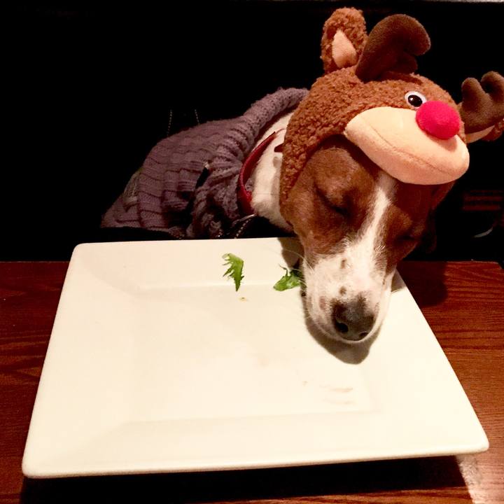 51e67e10 0ae0 4f85 b257 7dd72558d47f 1550047286407