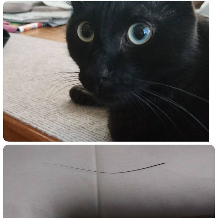 51e691b8 3764 4ec8 a93a 17776b2a0392 1608209905844