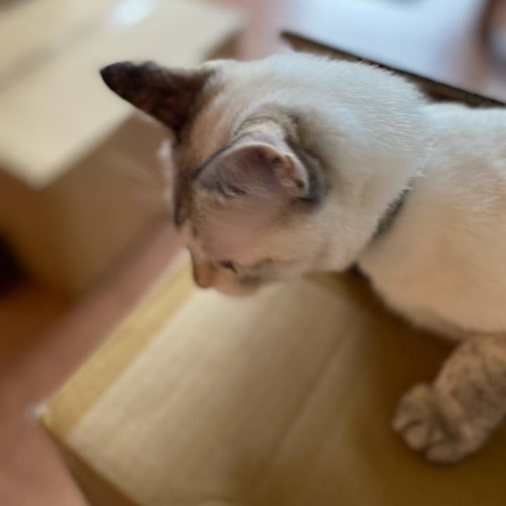 51e69cc2 3465 4710 a31c 2b714dbbea5f 1659431146304