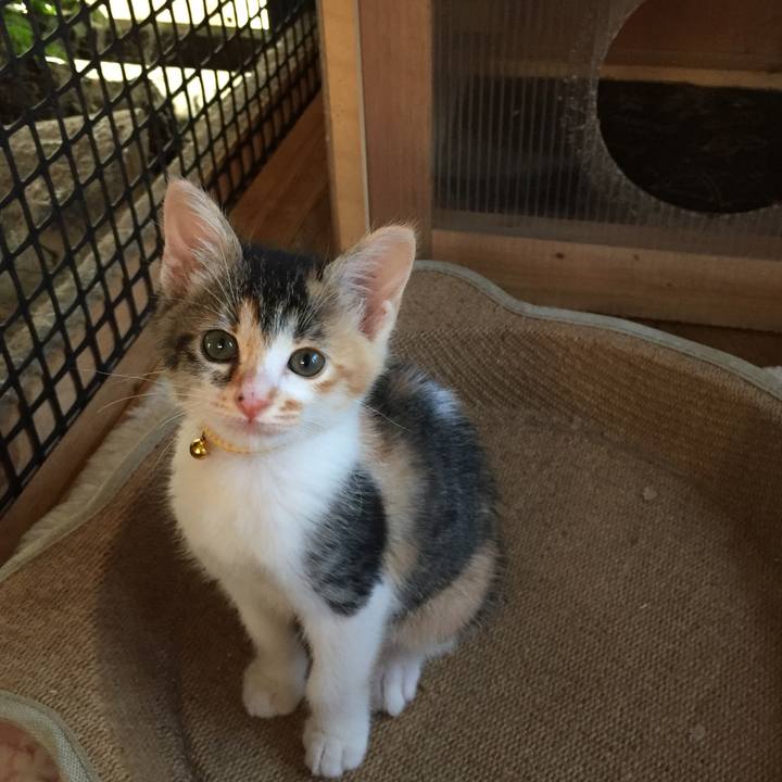 51e6b51d 1495 43b8 a737 10ddb1bacdff 1570755326256