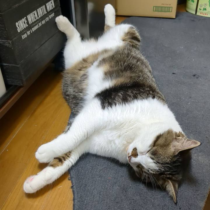 51e6d219 978b 43f3 88e9 4ed3ca5d58fb 1716986597698