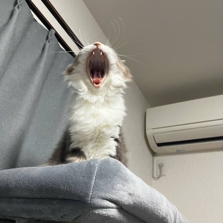 51e6d2e5 7f73 4647 a4dc d4b44a405d9f 1768299692188