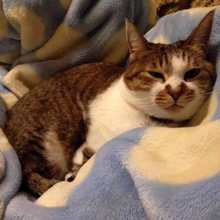 51e727a4 171c 4549 b0a6 299297e4b4b0 1519744357809