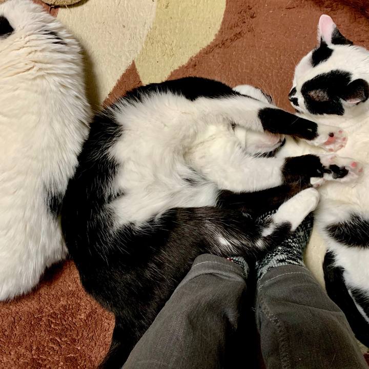 51e7499b 9af9 46db 9ac9 a0bffc5de2ec 1548758321971