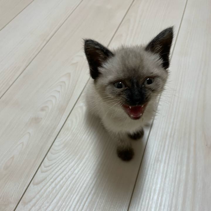 51e76643 cdd5 4cb0 bc0f 07e931ed3fdd 1686858115022