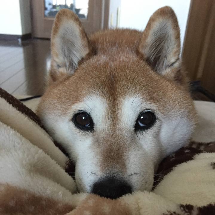 51e76711 6c7b 4c73 84c7 698189898b30 1517793567671