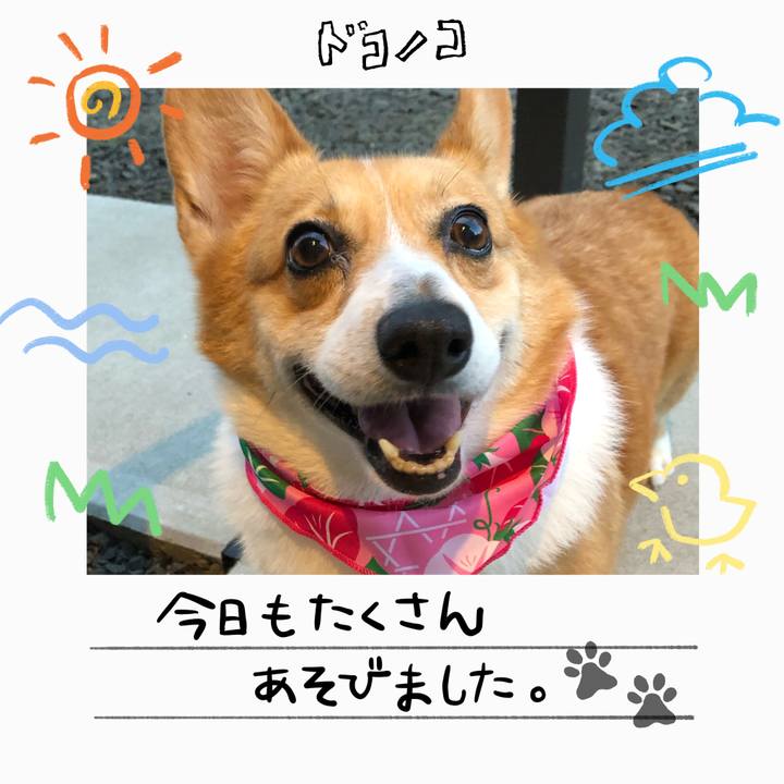 51e77b85 22dc 4246 86f7 dce498b76c10 1755345578196