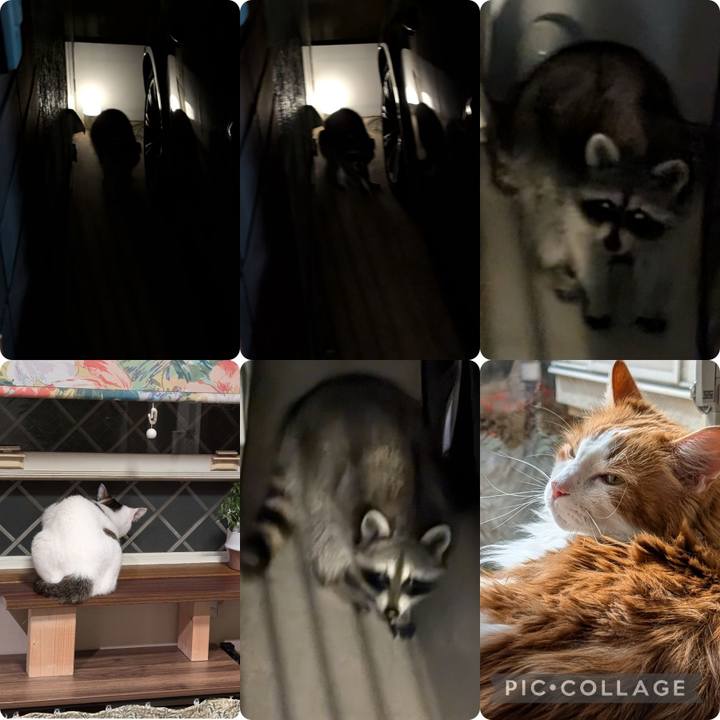 51e7b2d2 16d1 4e02 a624 5fc3aa1bc1ac 1727790236072