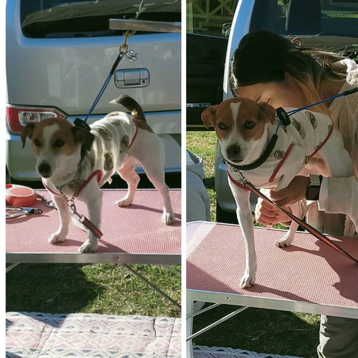 51e7c84d 9916 462e afea 92d96c251a35 1765104861255