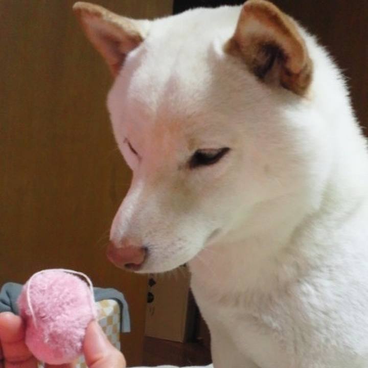 51e7f2b5 057c 4287 ba89 6e554ba0d3c9 1656483556887