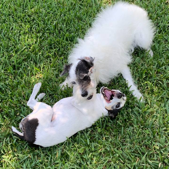 51e846ed c2e1 4a1a b1c0 8ab11f5cc006 1589407312115