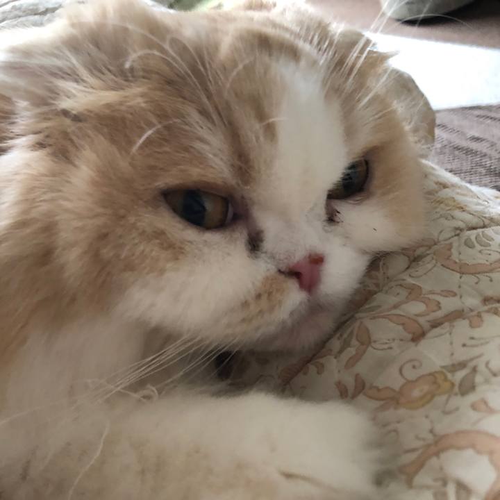 51e84de5 c01f 474f a41f 70ccd08895c1 1647127134440