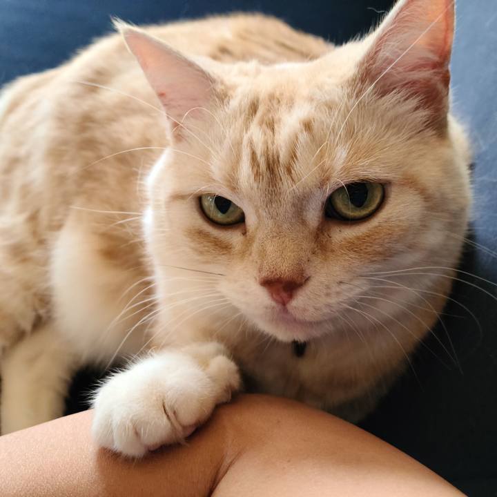 51e8679e be8b 4c88 bc8e 1a05cf8be83b 1629089424515