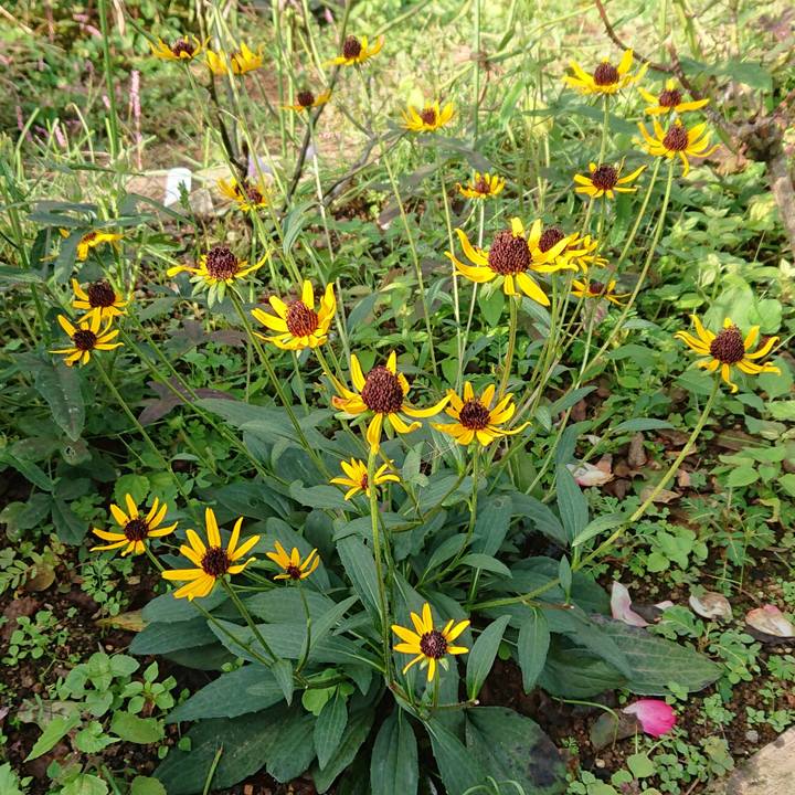 51e8b0a1 2567 4420 9261 e862845b38aa 1603416767874