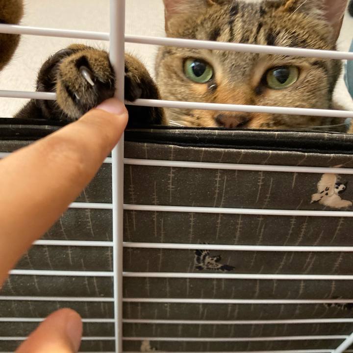 51e953ea a8b9 4f6f 866b 9c7fa1f395d6 1592731468576