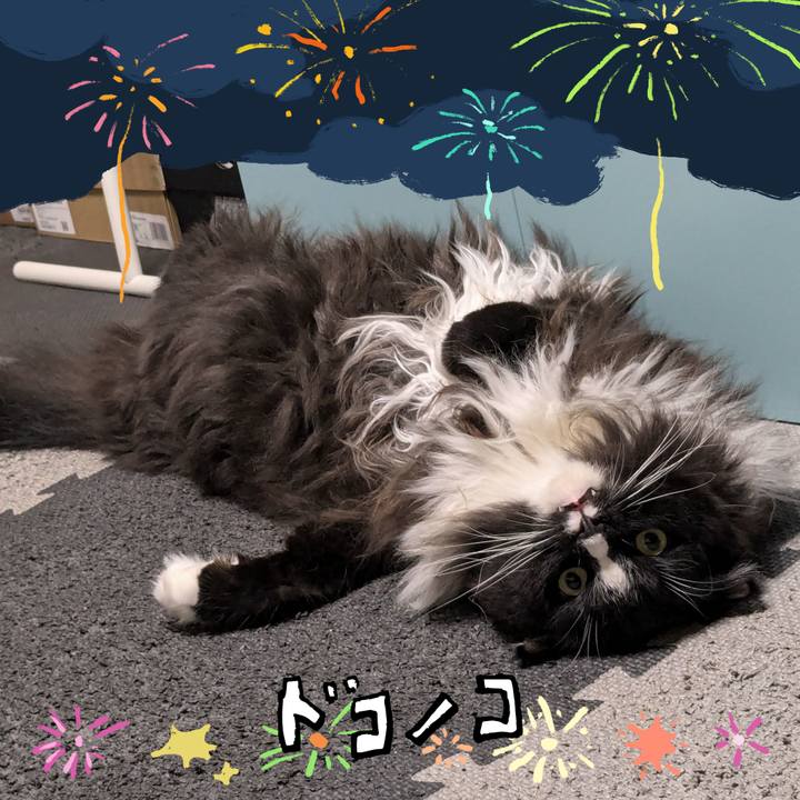 51e96a88 e833 46f8 be51 f5ecf7f910b3 1723287088189