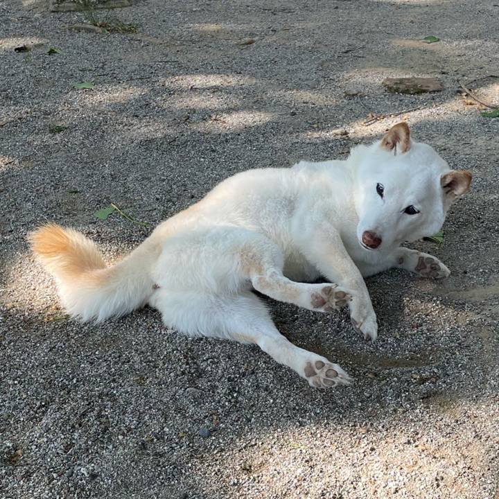 51e98e94 6784 49b6 ac34 2570c78d0b29 1668087549053