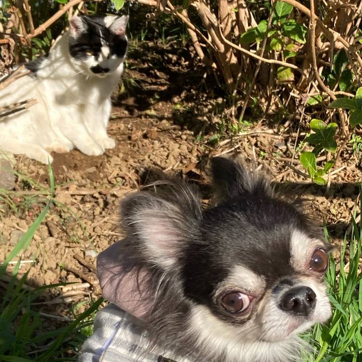 51e99ca1 efa2 4a7c b178 cd14dff4baf9 1669556759577