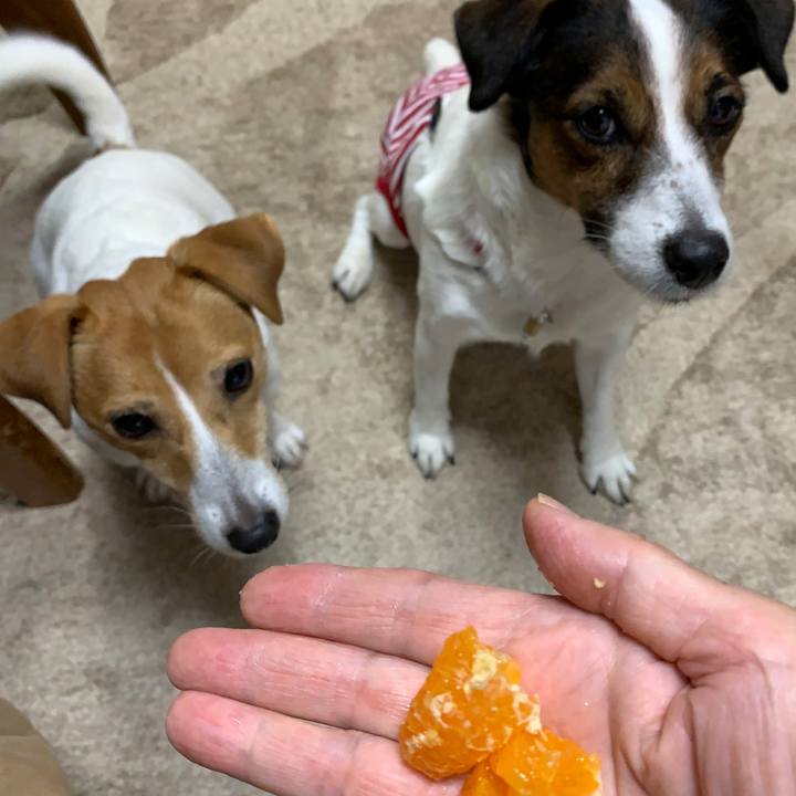 51ea0a7e a88b 49b8 855c e743eaa0ed34 1604216267522