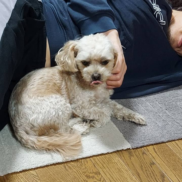 51ea0d9c b973 43a3 85ed d3c6756517be 1638097173206