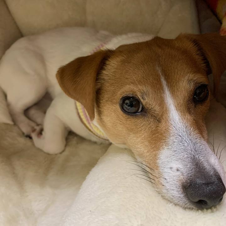 51ea1380 cde4 4342 98c1 9158c1594ec9 1580299145135