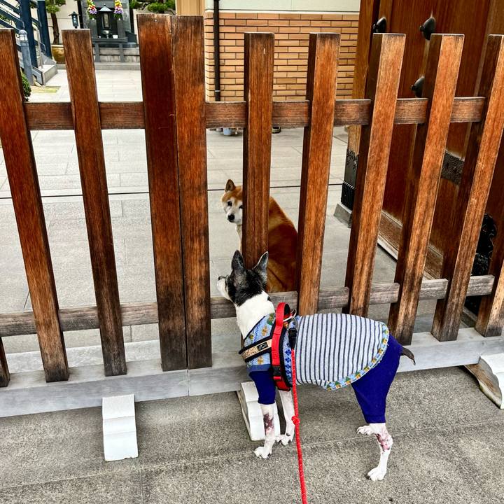 51eacd63 df3f 4480 ab2c 0f8e98fbd690 1647782257052