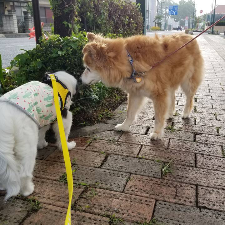 51eae714 2973 4e9a 97a9 eb17dfea2c35 1622633406286