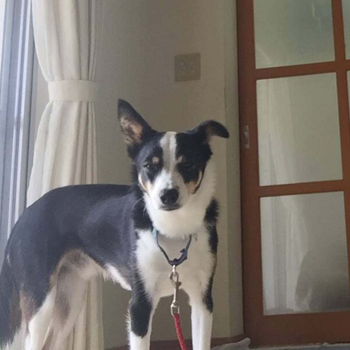 51eb1641 353a 4b84 a9ec 4c6eb6c82cab 1588855732727