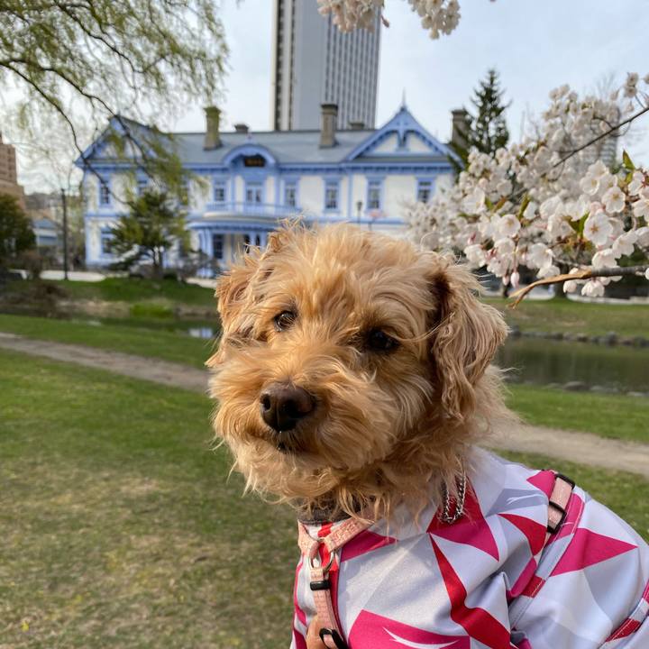 51eb4cbf ca02 4228 beeb 2a6baf817a32 1651138032767