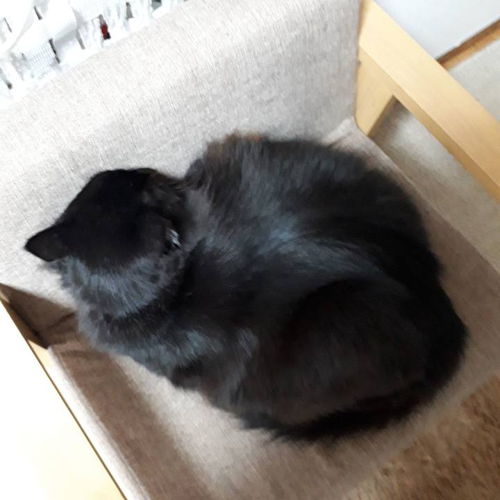 51eb5494 ff98 4092 8e06 61b50c24d86f 1517826438358