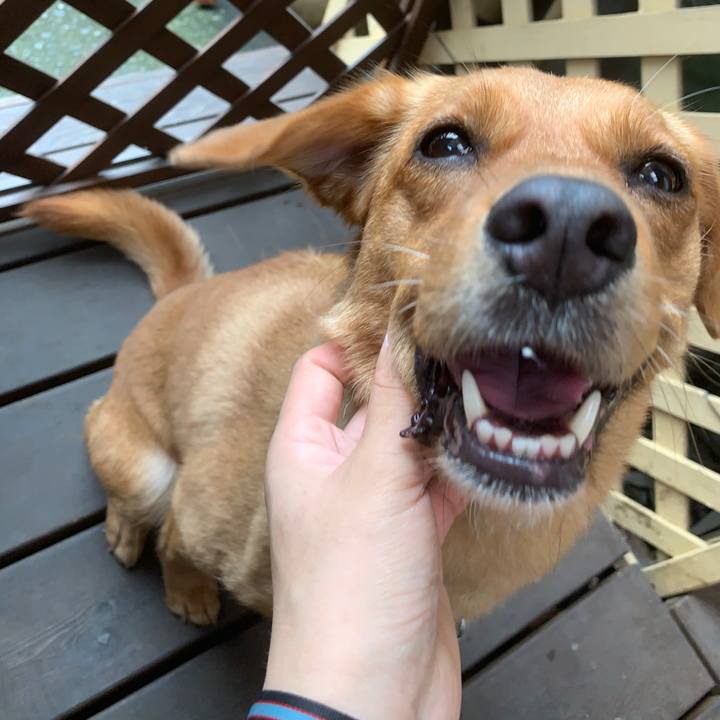 51eb8495 1172 4368 a180 1b40d6f31a45 1563253370932