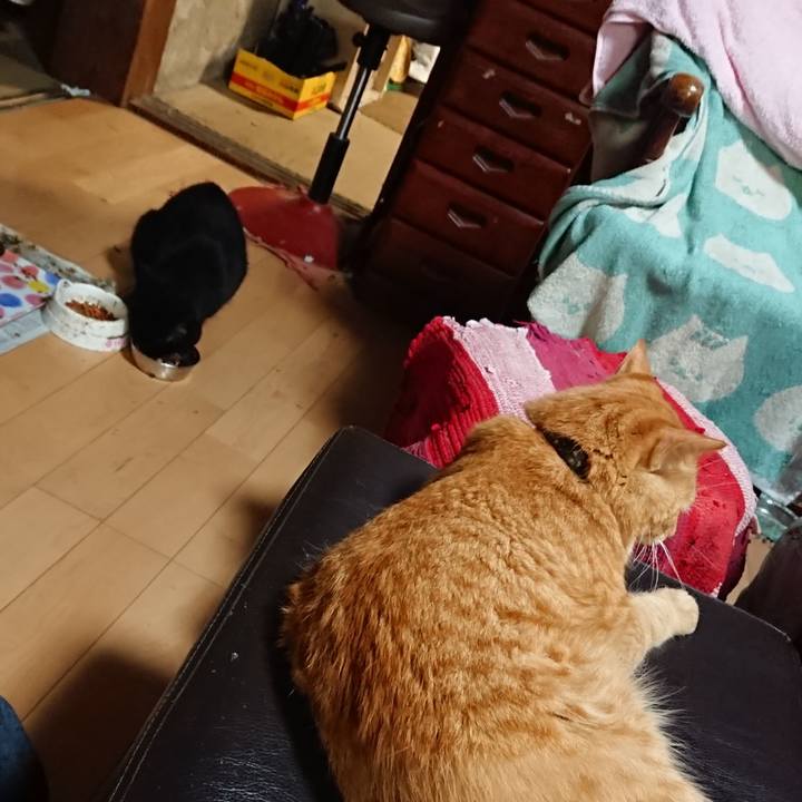 51eb9d4b dc19 444c a134 624ce3725cab 1661774441847