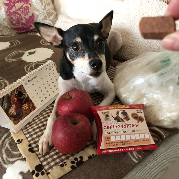 51ebb0a5 a3f5 41d6 a873 cbe9289933f7 1512082087875