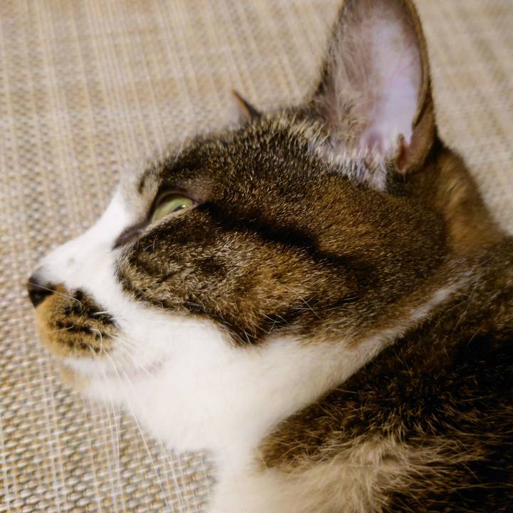 51ebf7e4 e195 4716 bd37 f9baab54248f 1772869516981