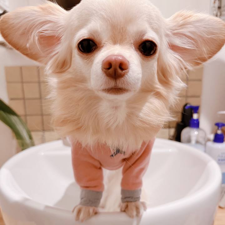 51ec0bcc 41b1 4c7b 8b54 59118a79fa48 1667554368803