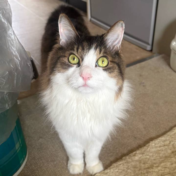 51ec5e99 86d3 4d93 bb9e b85d59c15df9 1774398535675