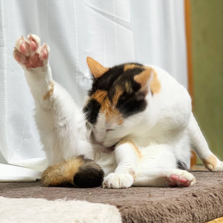 51eccaed 0335 4517 a109 97dbf72047f8 1553479518288