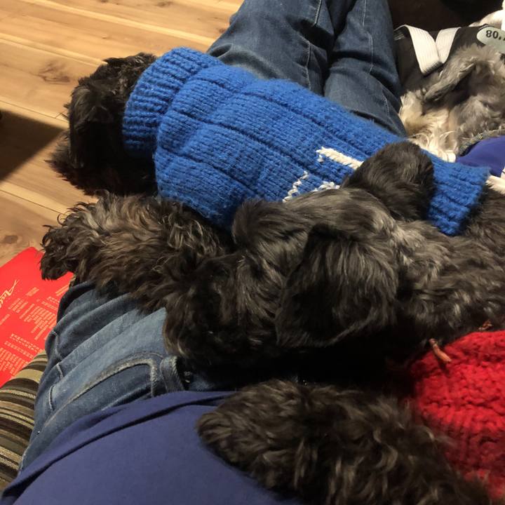 51ece341 ab63 42a4 8dd0 e19ffe2dbb66 1575701256529