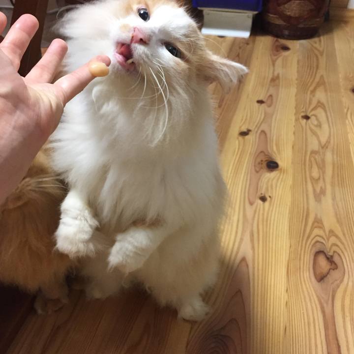 51ed3960 eb04 4200 b86a 988a4f733aab 1569368453337