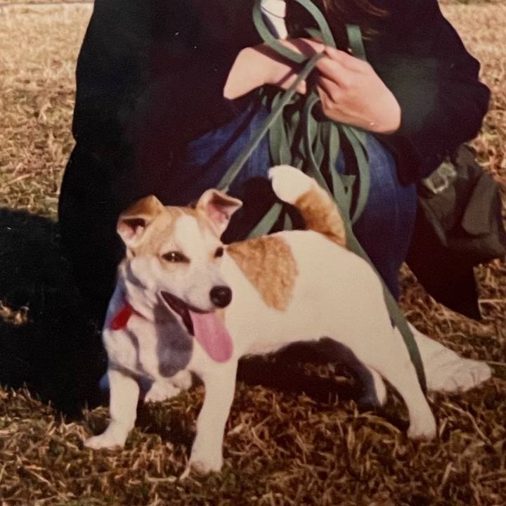 51ed40a6 5c0a 4f62 8375 c89c6be50d7d 1633176229559