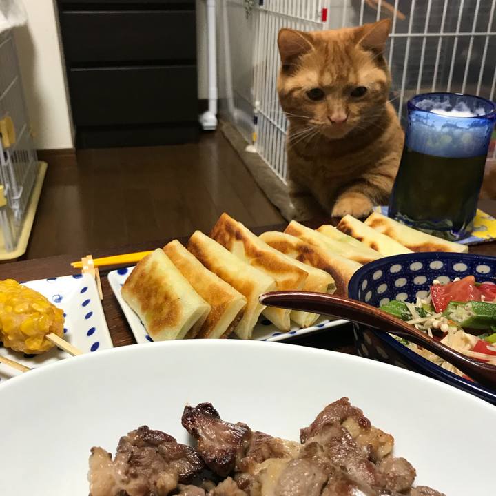 51ed658e b2fe 4f40 994c 43dbb1187848 1534591323783