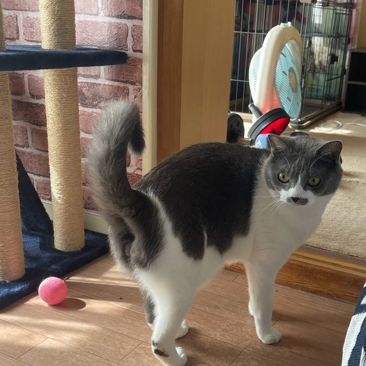 51edd168 9ac0 4753 9bdf 37d753303d9b 1665192075194